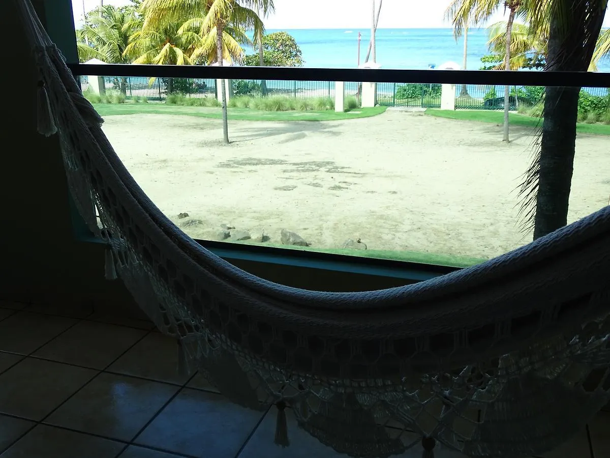 Aquatika Beachfront And Rainforest Views Daire Loiza Porto Riko