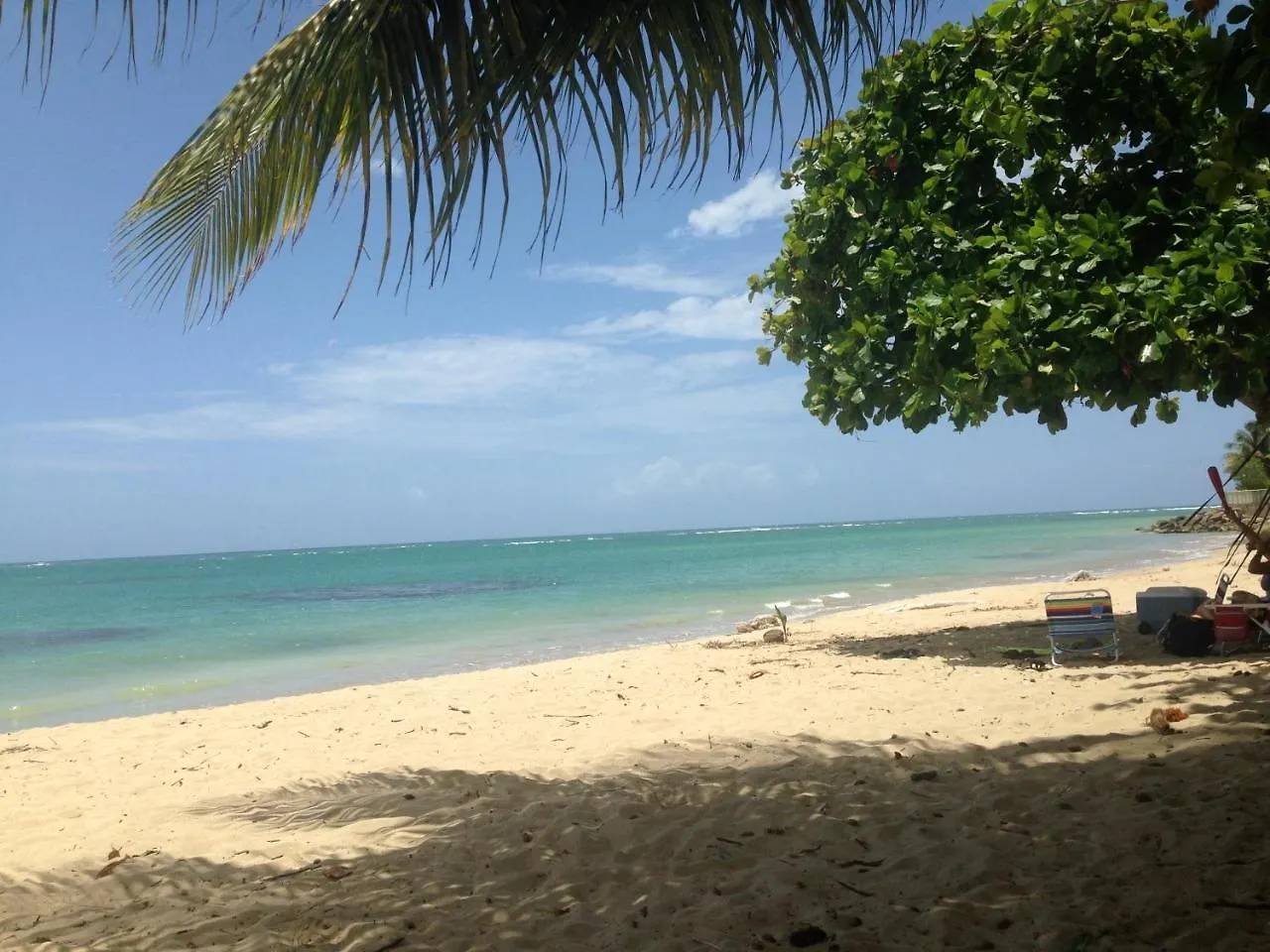 Aquatika Beachfront And Rainforest Views Daire Loiza