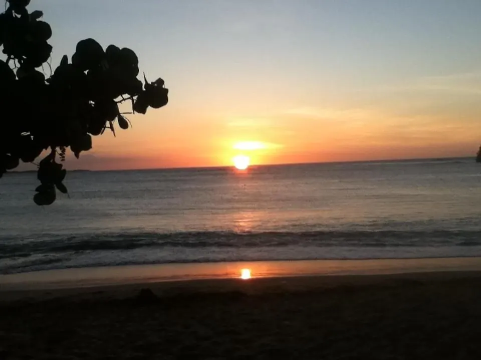Aquatika Beachfront And Rainforest Views Daire Loiza Porto Riko